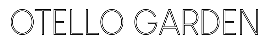 Image de contour