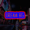 Letrero de neón LED retroiluminado Dream Big