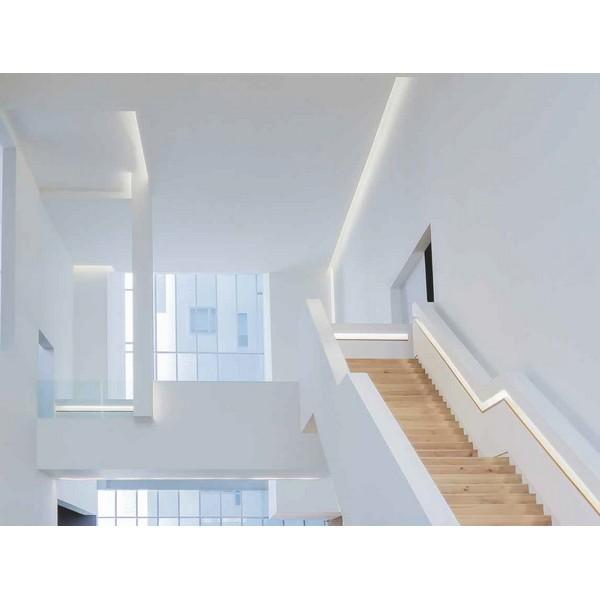 I LumoS 8 X 16mm RED Flexible IP65 Waterproof Dimmable Neon LED Strip Light 220 – 240V 9W/m - Planet Neon